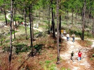kisatchie tour 008-001